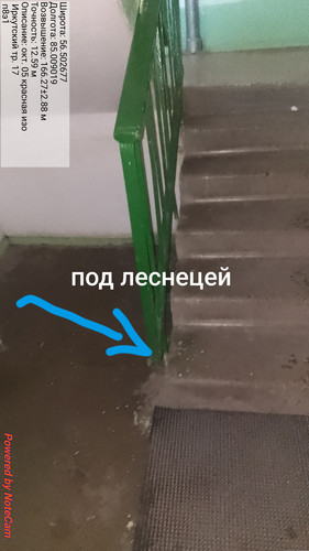 1000004949.jpg