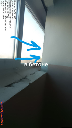 1000004946.jpg