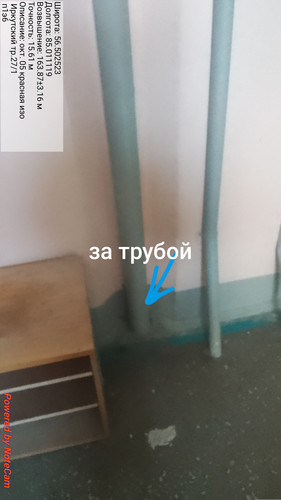 1000004943.jpg