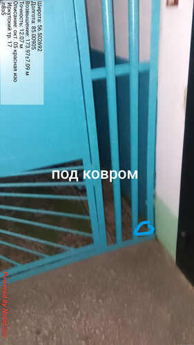 1000004955.jpg