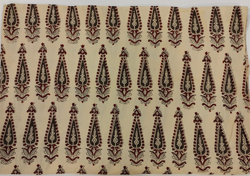 WhatsApp Image 2026 01 23 at 12.45.55 PM.jpg