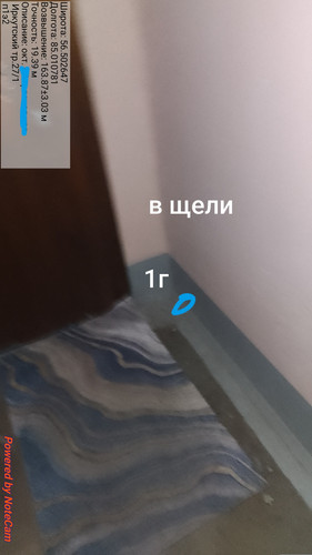 1000004961.jpg