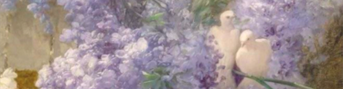 IMG 2393.png