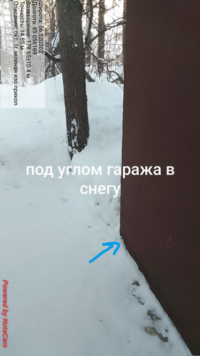 1000004929.jpg