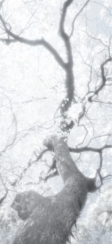 1000203631.png