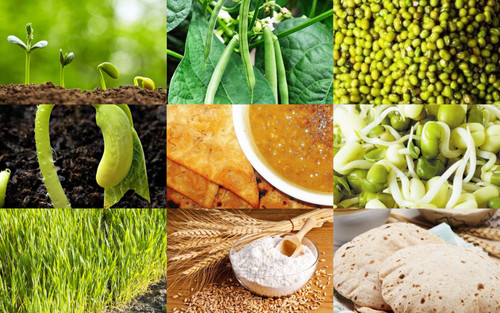 ' Glorified is  The All-Mighty Creator '.jpg