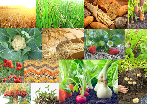 ' Glorified is  The All-Mighty Creator '.jpg