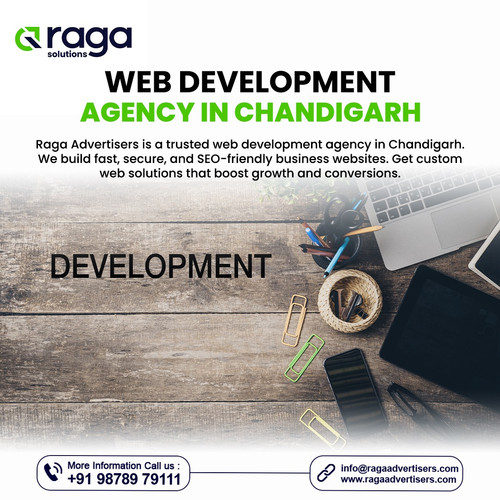 Web Development Agency in Chandigarh.jpg