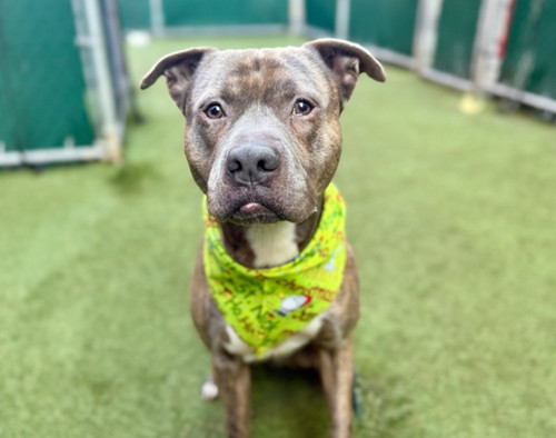 G mUY0rbQAE4oqO?format=jpg.jpg