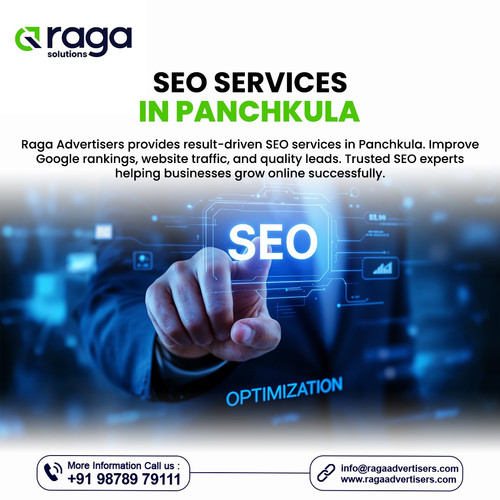 SEO Services in Panchkula.jpg