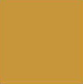 blush yellow.jpg