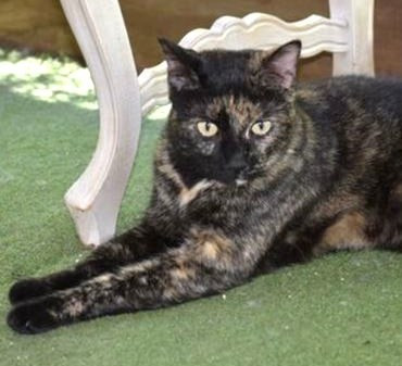 G NjER7b0AAz1dY?format=jpg.jpg