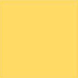 yellow kota lining.jpg