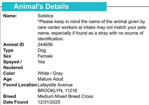 G9hVnUtawAASj O?format=jpg.jpg