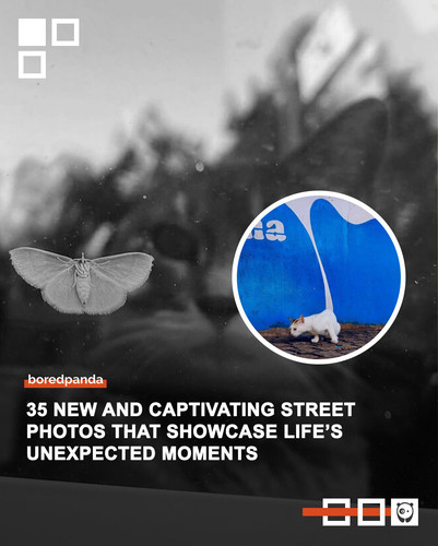 street photographs streetphotographersfdn part 12 1.jpg