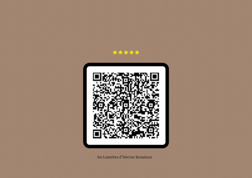 Avis Google Renaison.gif