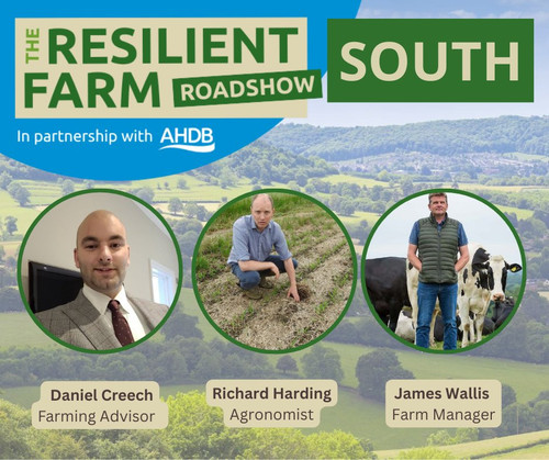 G MW7oYXsAA0 eK?format=jpg.jpg