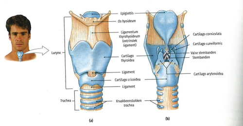 40ddb5933a30.png