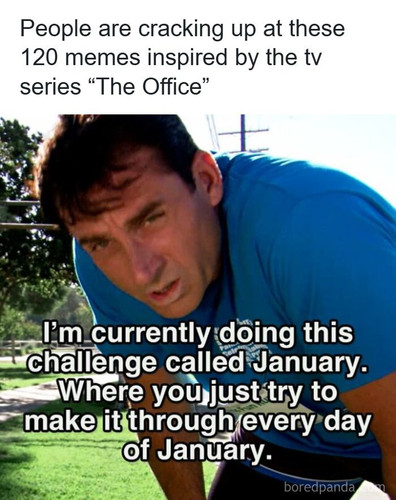 the office memes.jpg