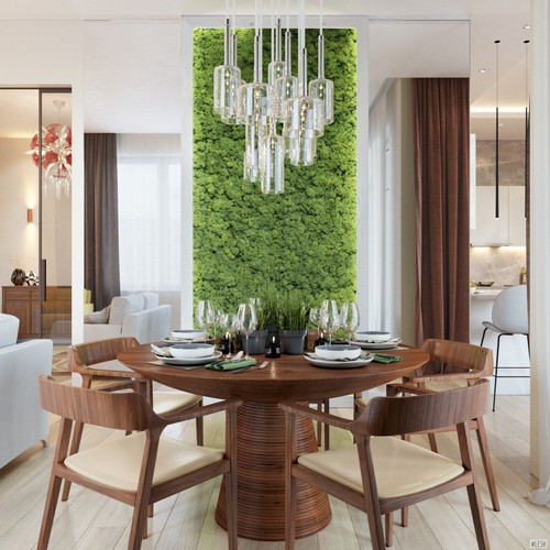 5775126177571252182 y 4.jpg