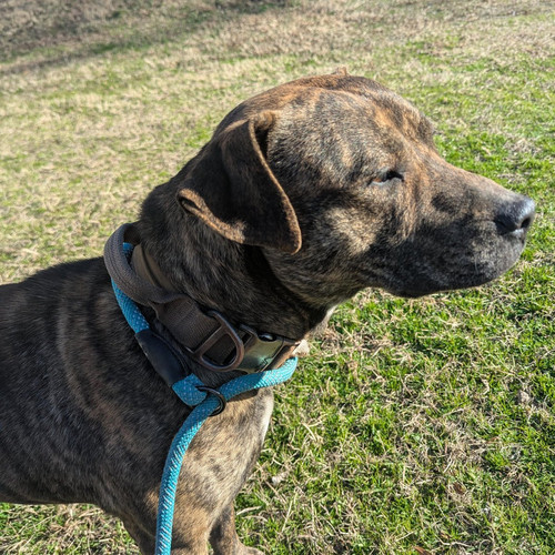 G 4ni4lW4AAyQBO?format=jpg.jpg