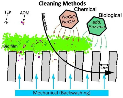 G P6pAGXkAAB7Zl?format=jpg.jpg