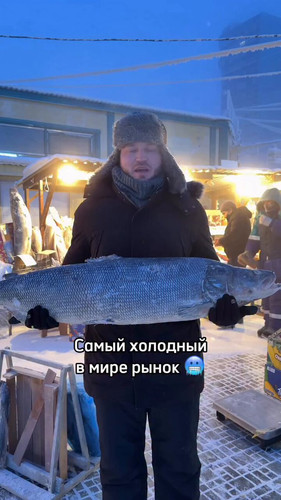 VVgNu5ibMpz8 28Q.jpg