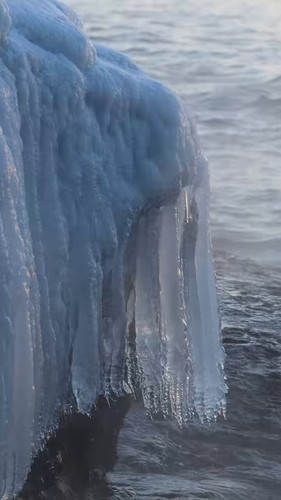 L41emGwcsS YuyZ7.jpg