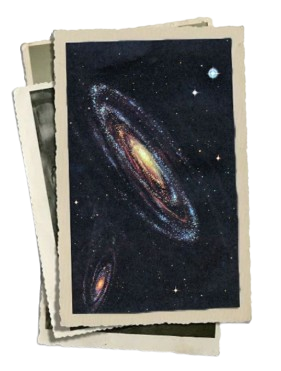 image removebg preview (1).png