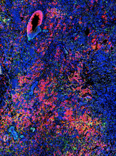 G WjxU XMAA4qLJ?format=jpg.jpg