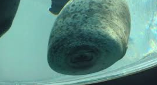 Image 1 21 26 at 2.36 PM.png