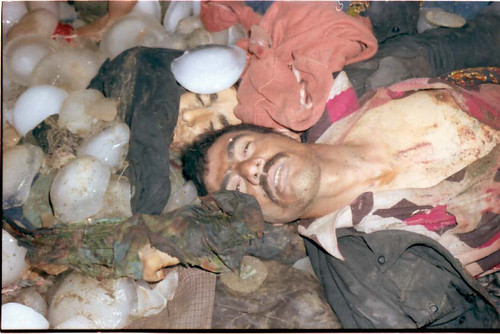 G W1KjiWUAAGIbE?format=jpg.jpg