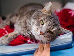 G U5FSUbAAA Wbi?format=png.png