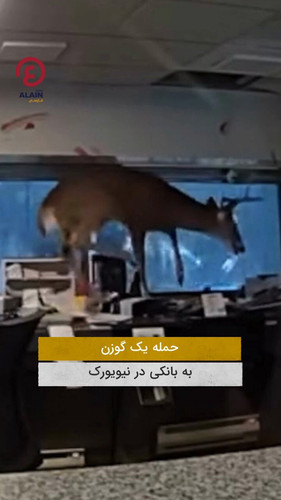 de1 d1e h2VeVQNS.jpg