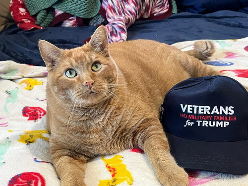 G SMufpacAANa6j?format=jpg.jpg