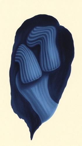 7df9e01b51be.jpg