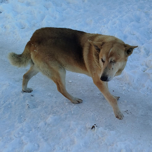 G RfoOEW0AAPRlh?format=jpg.jpg