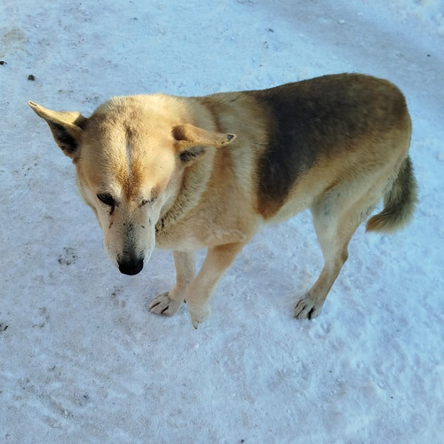 G RfsIzWUAArRUv?format=jpg.jpg