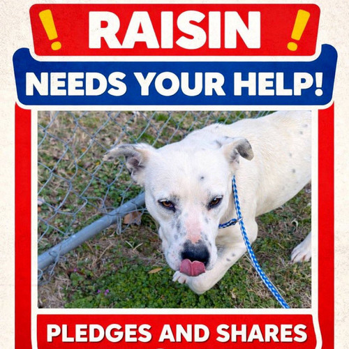 G iofn2WAAEjF0m?format=jpg.jpg