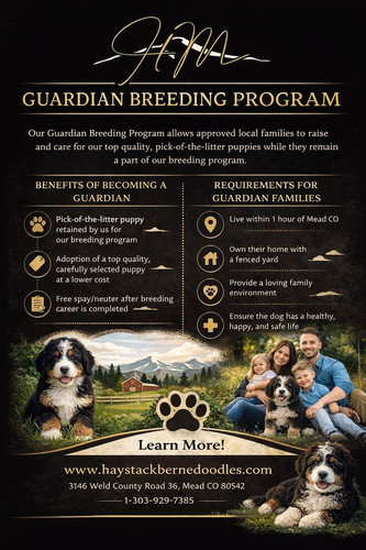 Guardian Breeding Program: Supporting Healthy, Happy Dogs.jpg