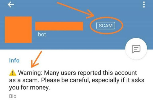 1000483250.jpg
