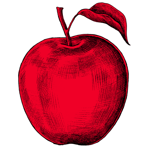PFP.png