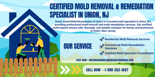 Certified Mold Removal & Remediation Specialist in Union, NJ.png