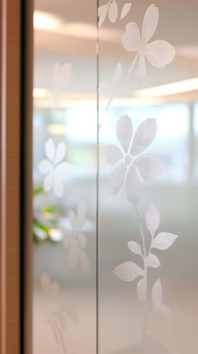 Frosted Privacy Film for Windows in Mumbai.jpg