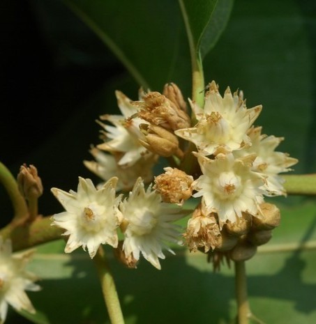 original 1634802853769.jpg