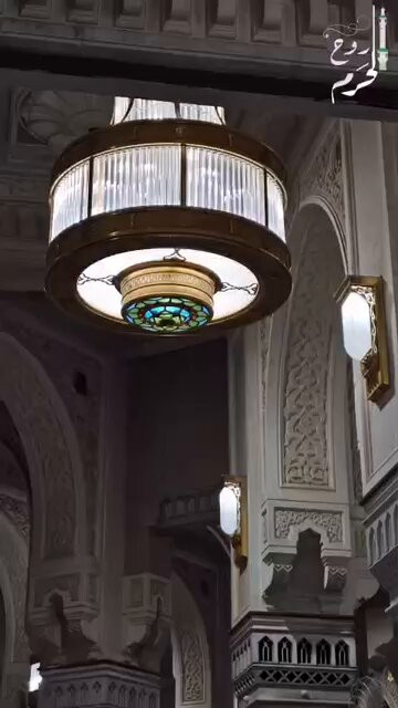 qNo5zYk8jNljad h.jpg
