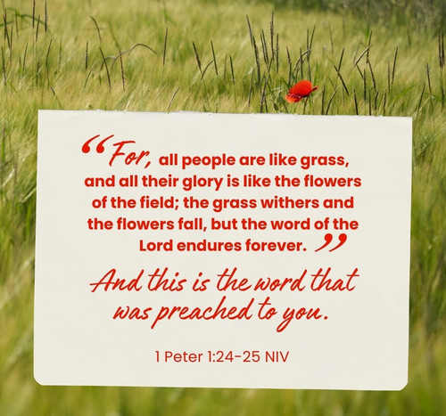 Notes 260122 080140 e32.jpg