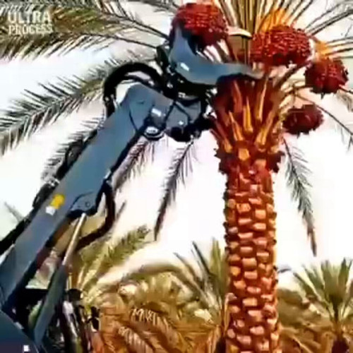 QxkvffZvMH Z1vB5.jpg