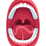 istockphoto 1024123146 612x612 removebg preview.png