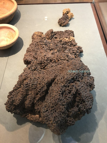 G Q S3QXEAAnZm8?format=jpg.jpg